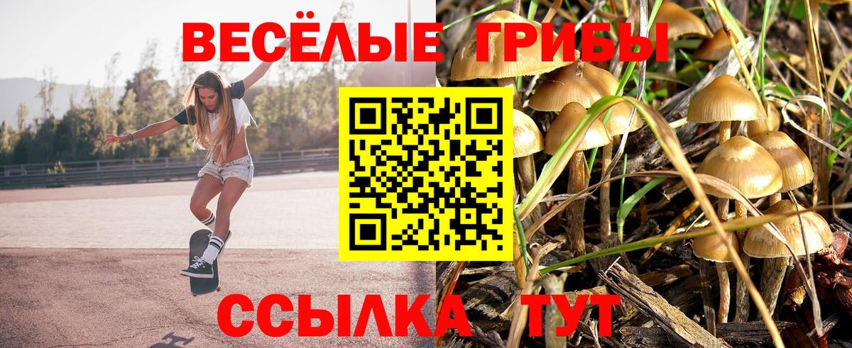 Псилоцибиновые грибы мухоморы Дальнегорск