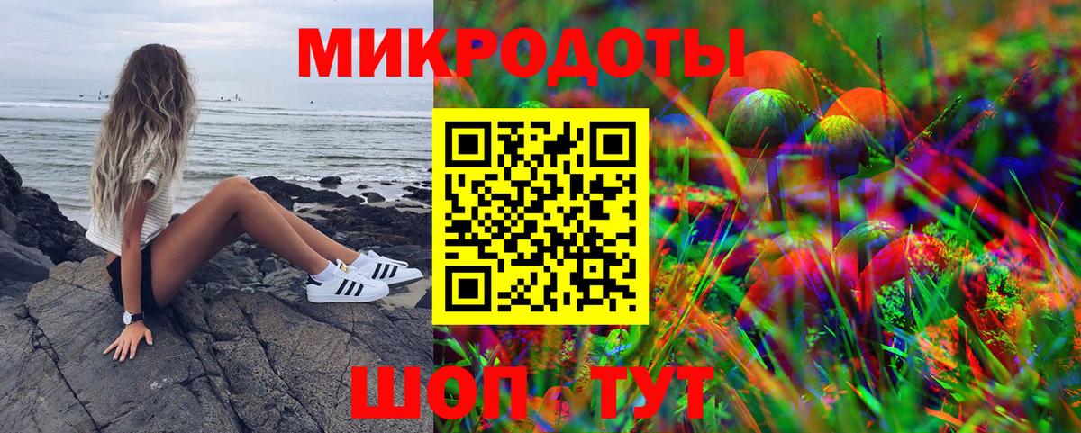 Дальнегорск  Галлюциногенные грибы GOLDEN TEACHER  Галлюциногенные грибы GOLDEN TEACHER  Вход с VPN 
